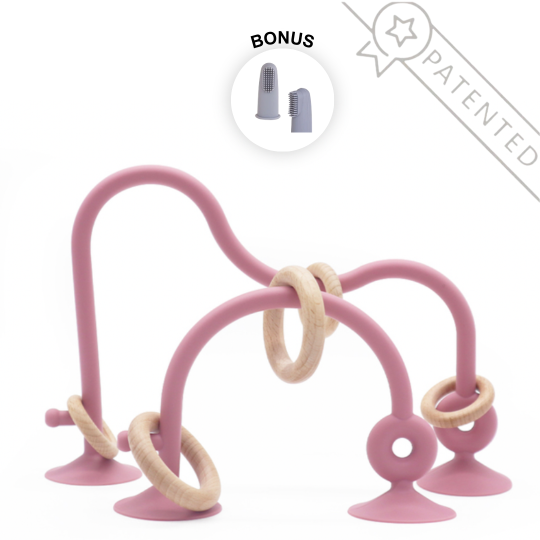 Suction Ring Toy for Babies